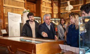 wp-mmostra